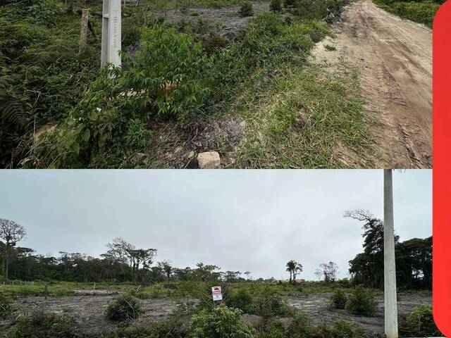 Terreno para Venda em Balneário Barra do Sul - 2